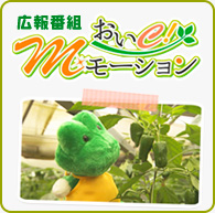 広報番組 おいC! Mモーション