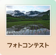 フォトコンテスト