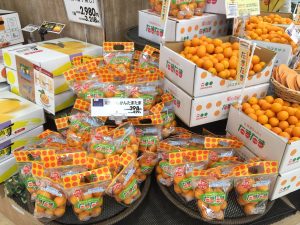 イオンスタイル宮崎店（たまたま解禁）