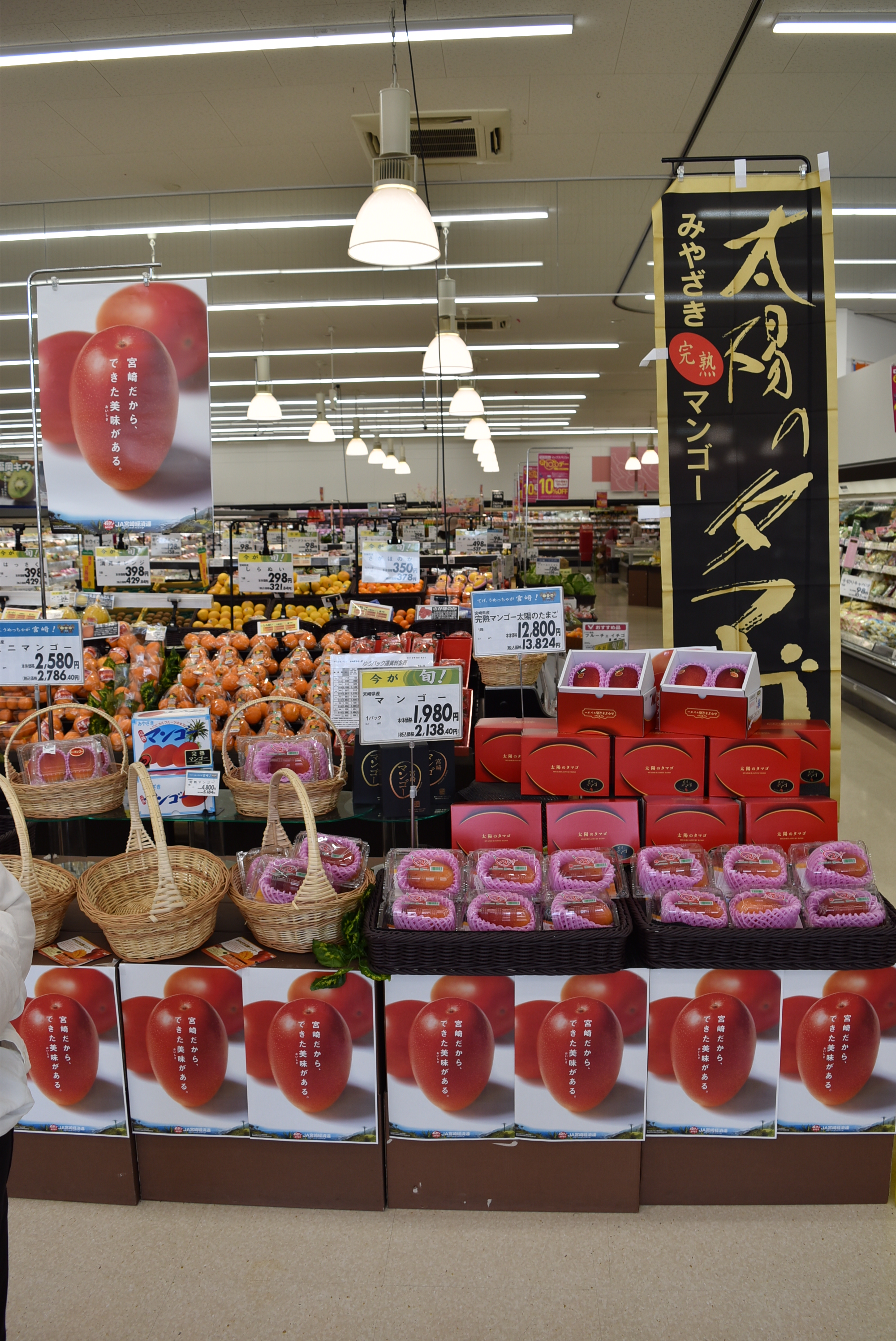 太陽 の タマゴ 販売 店