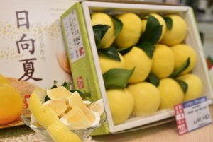 日向夏販売開始②