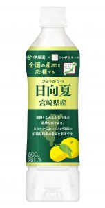 宮崎県産日向夏500g