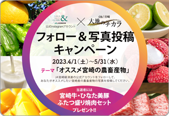 大地のチカラインスタグラムキャンペーン