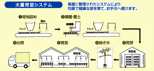 会社