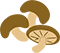 椎茸