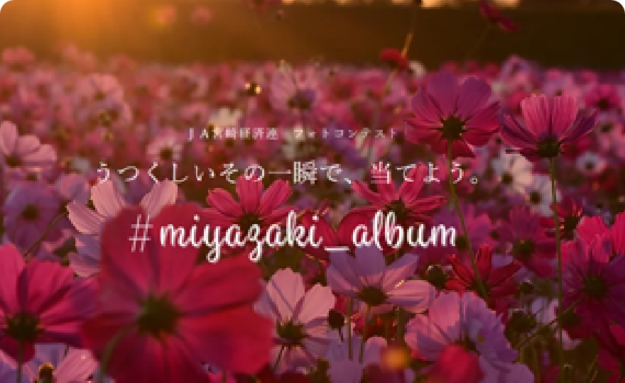 インスタグラムキャンペーン
