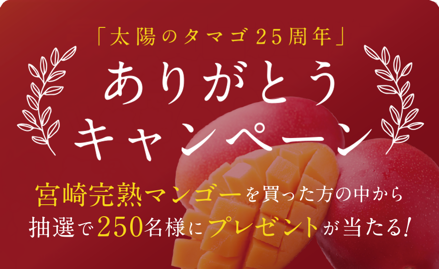 太陽のタマゴ25周年ありがとうキャンペーン