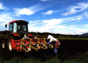 『畑作の頃』岩田 徳男