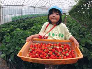 『収穫』新田 芳則