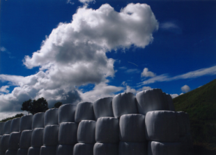 『あの夏を忘れない』岩切 寿博