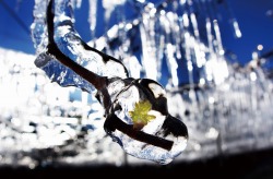 『春を待つ』雀ヶ野 秀憲