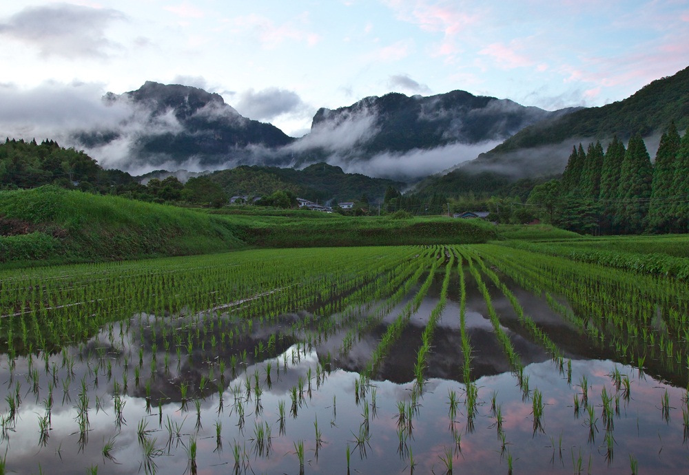 『行縢の田園風景』甲斐 靖一