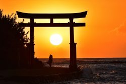 『朝光』河野 勝巳